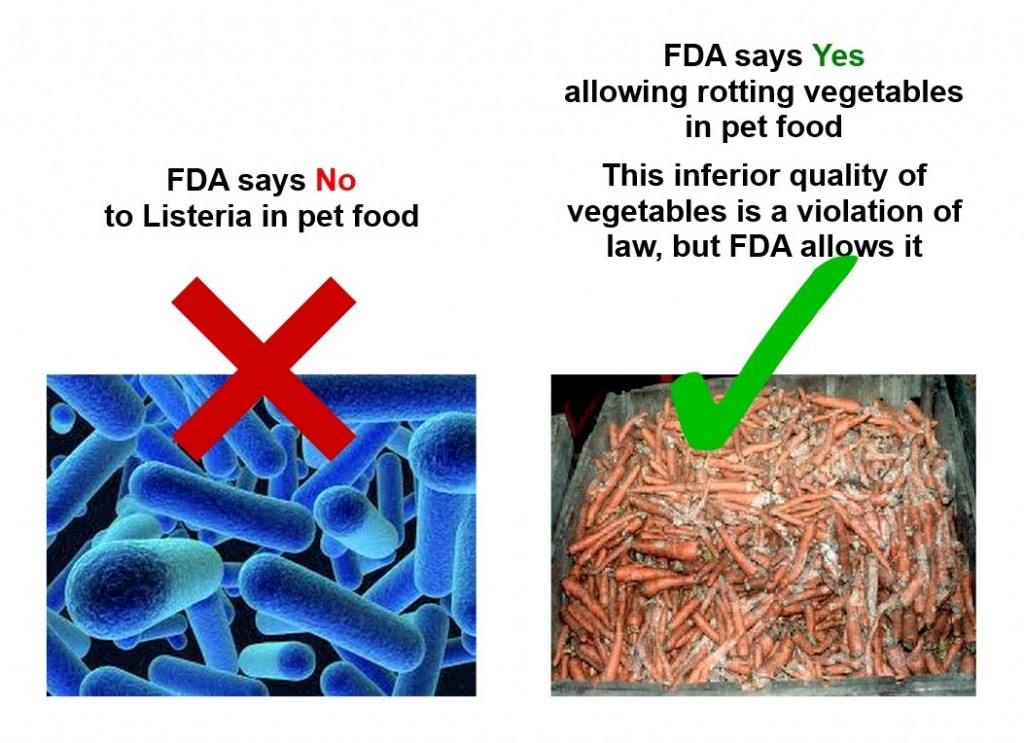 FDA, Pet Food, Bacteria and Spoiled Meat Truth about Pet Food
