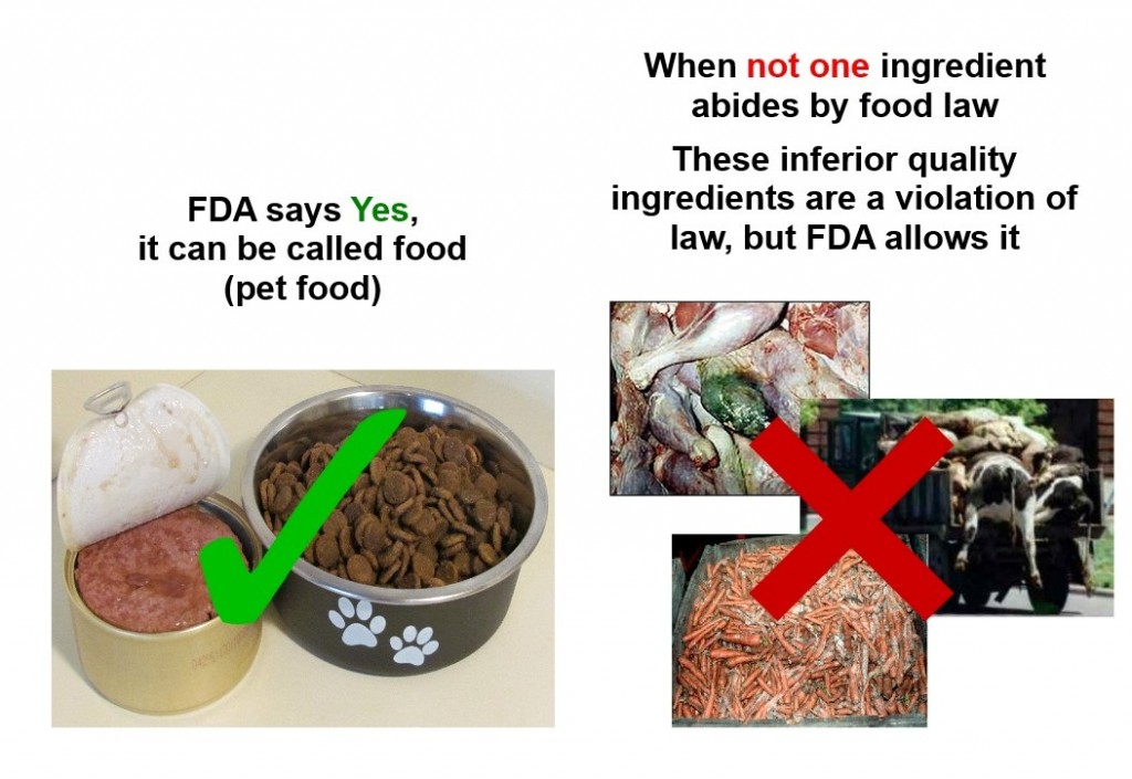 FDA, Pet Food, Bacteria and Spoiled Meat Truth about Pet Food