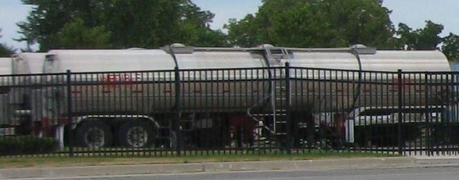 PurinaInediblePlant - close up1
