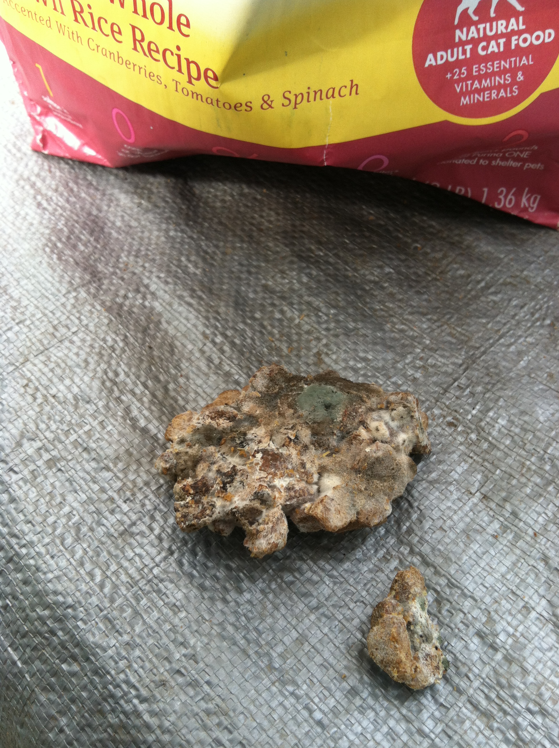 Mold Reported in Purina One Beyond – Truth about Pet Food