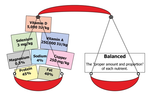 BalancedMax
