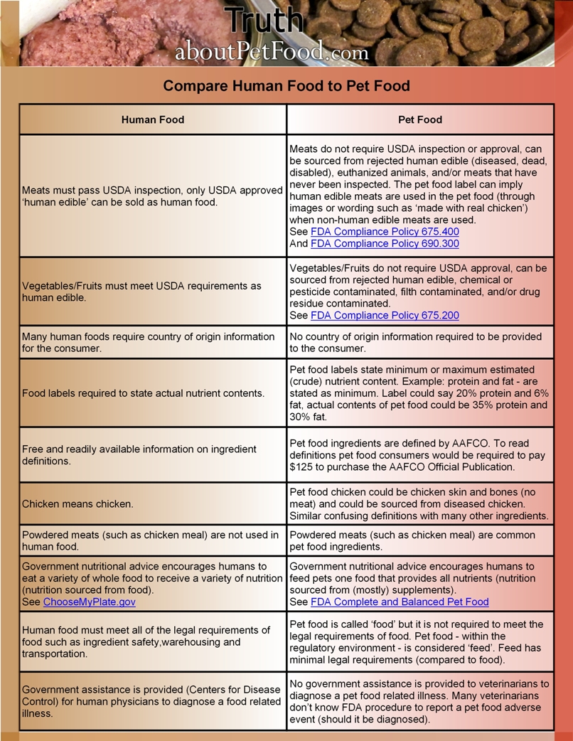 Dog food 2025 vs human food