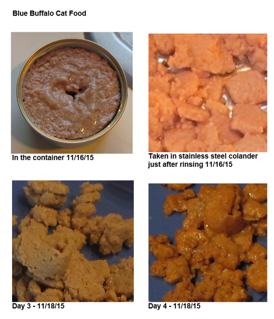 Blue Buffalo Cat Food