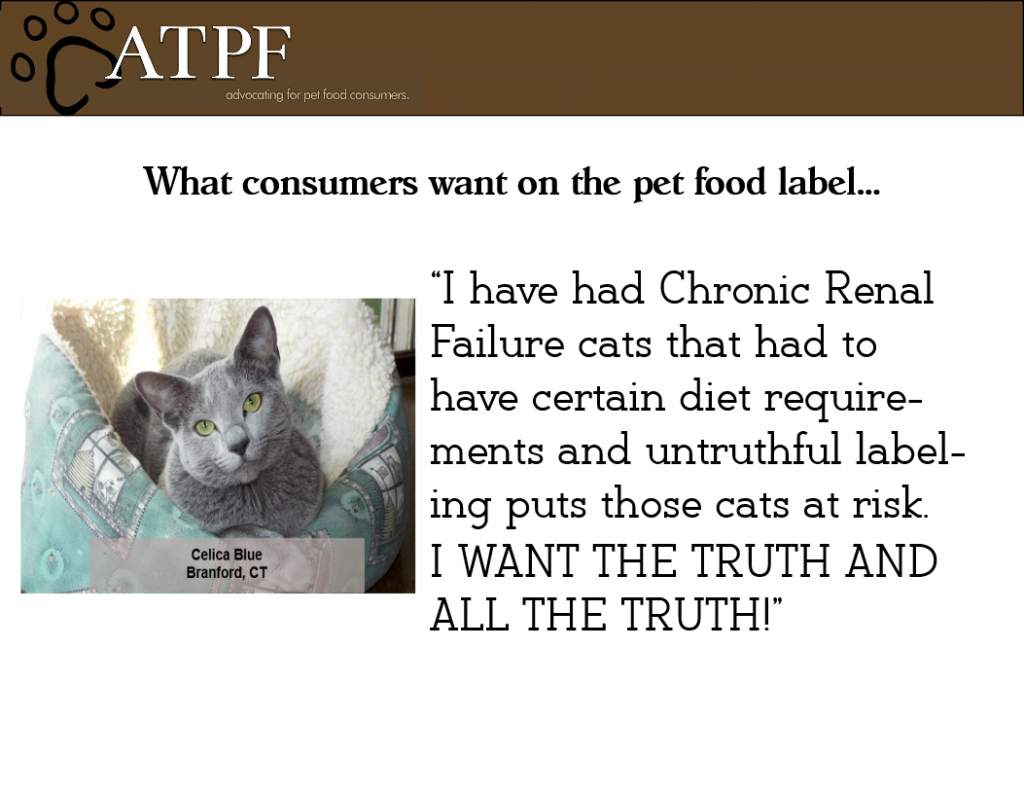 slide19