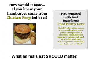 ChickenPoopBurger2