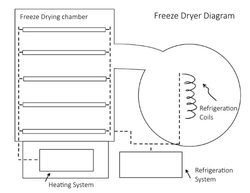 freeze_dryer