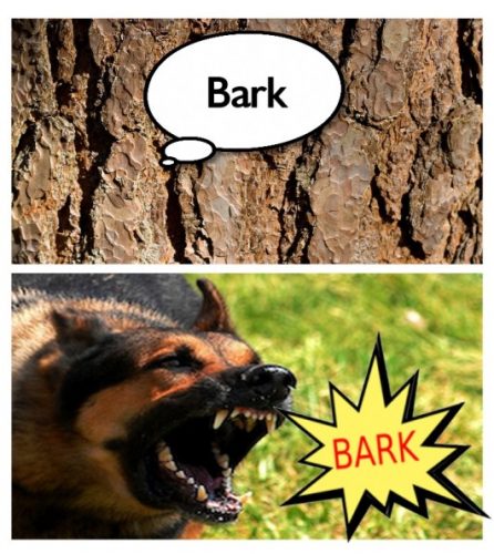 bark