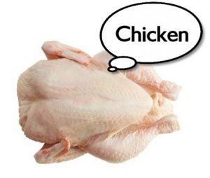 chicken1