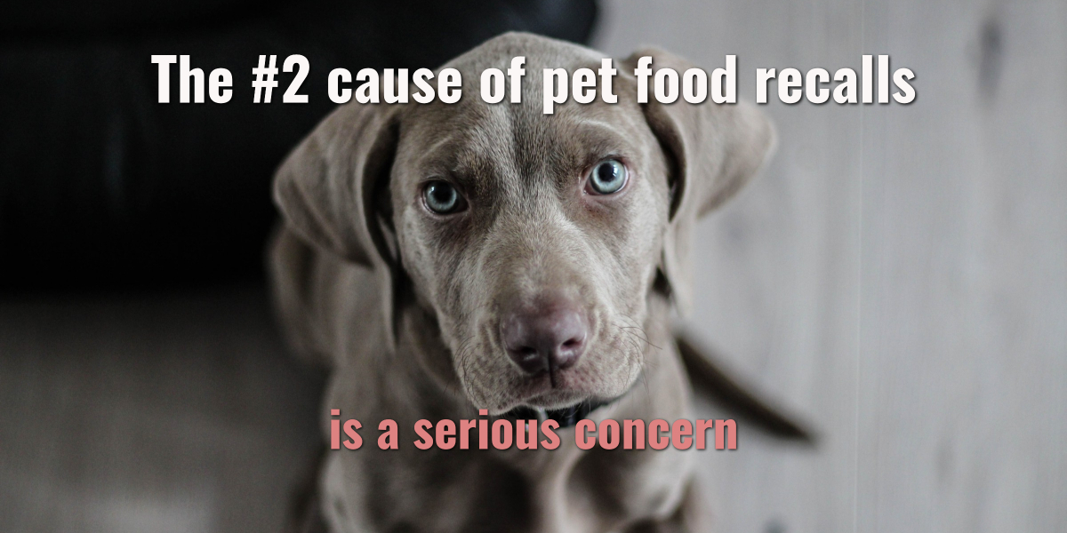 2,000% Increase – Truth about Pet Food