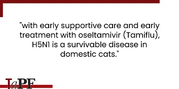 Potential Treatment for Cats with Avian Flu